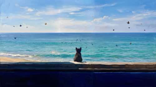 cat — arabic aesthetic desktop wallpaper for MacBook (4K)