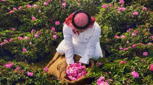 collecting flowers — arabic aesthetic desktop wallpaper for MacBook (4K)