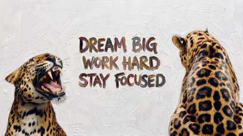 dream big, work hard, stay focused — quotes bundle aesthetic desktop wallpaper for MacBook (4K)
